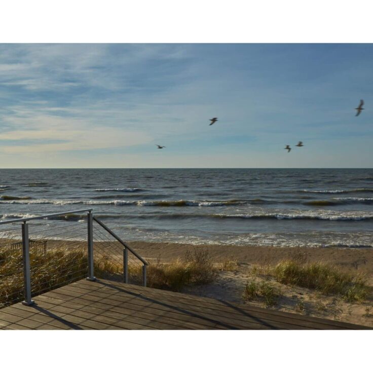 Cable Railing System with Lake Background